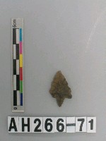 藏品(帶鋌打製石鏃)的圖片